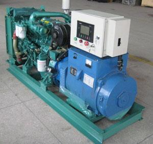 武隆发电机出租